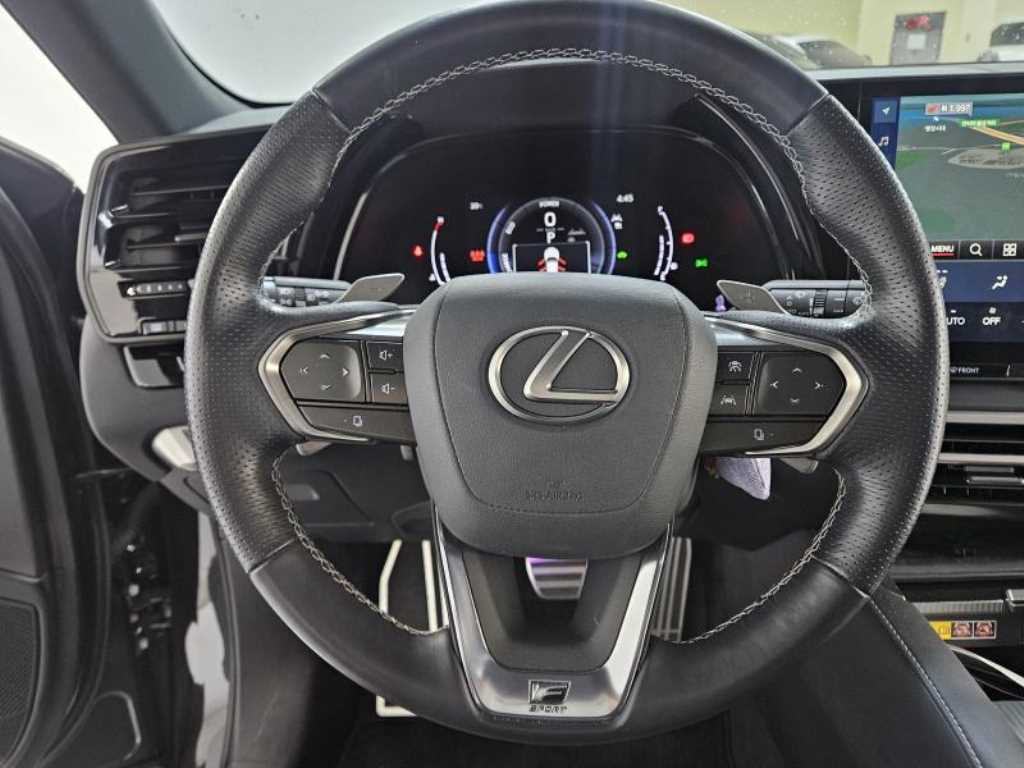 Lexus RX - Vista 12
