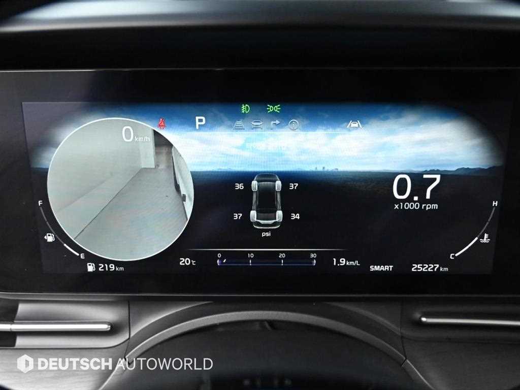 KIA Carnival - Vista 8