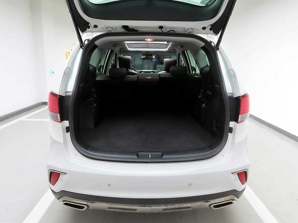 HYUNDAI Maxcruz - Vista 5
