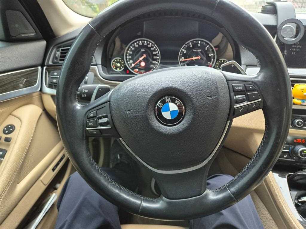 BMW 5 Series - Vista 6