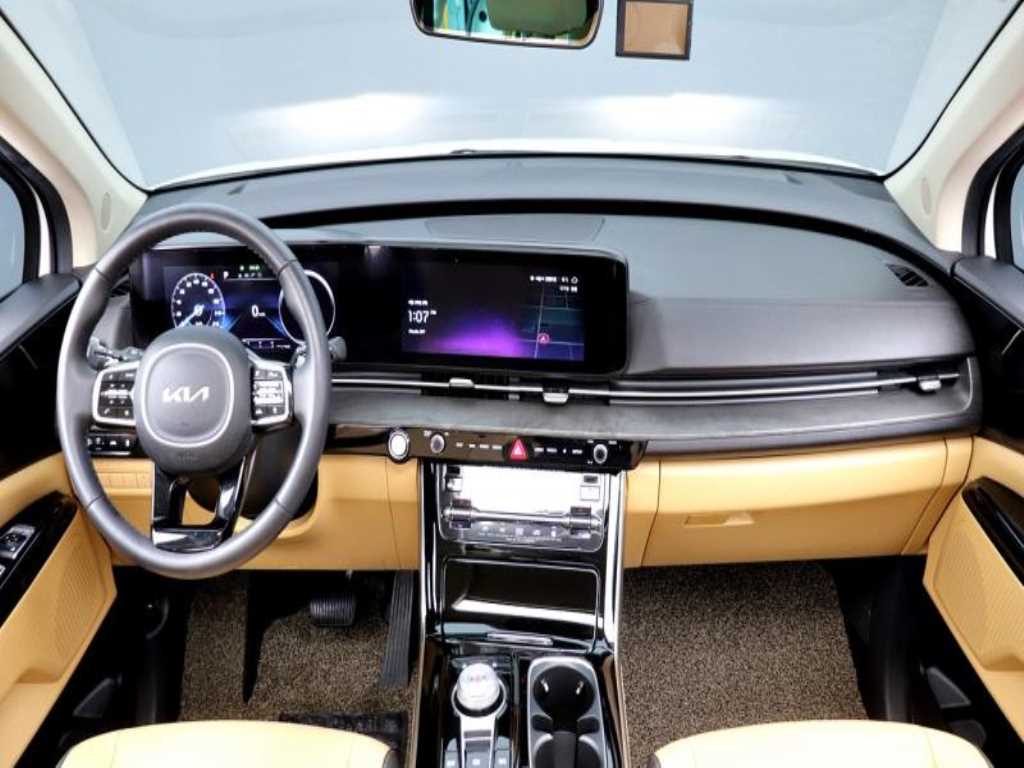 KIA Carnival - Vista 8