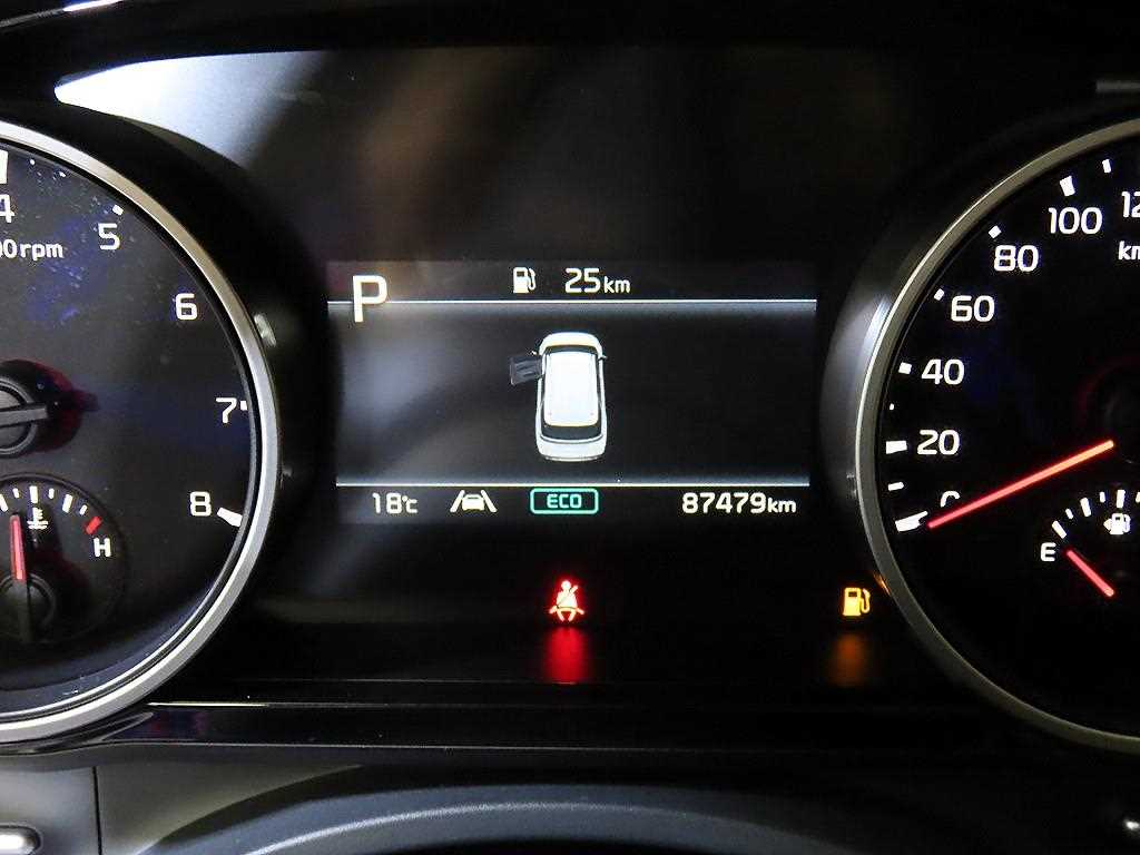 KIA Carnival - Vista 9