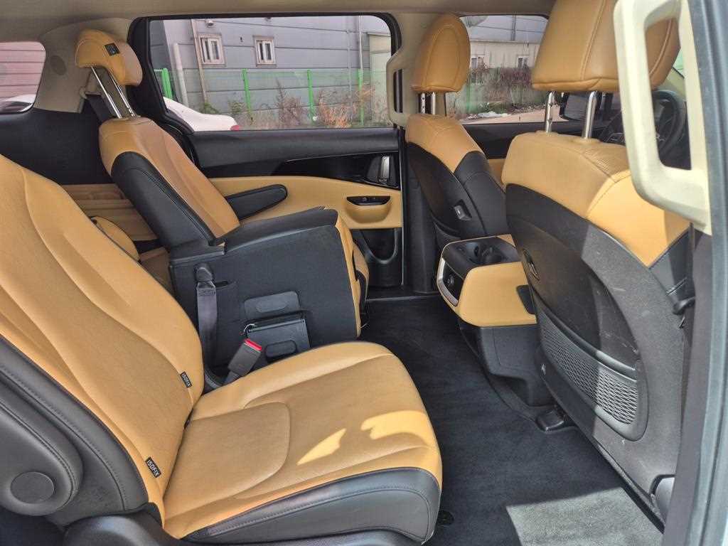 KIA Carnival - Vista 12
