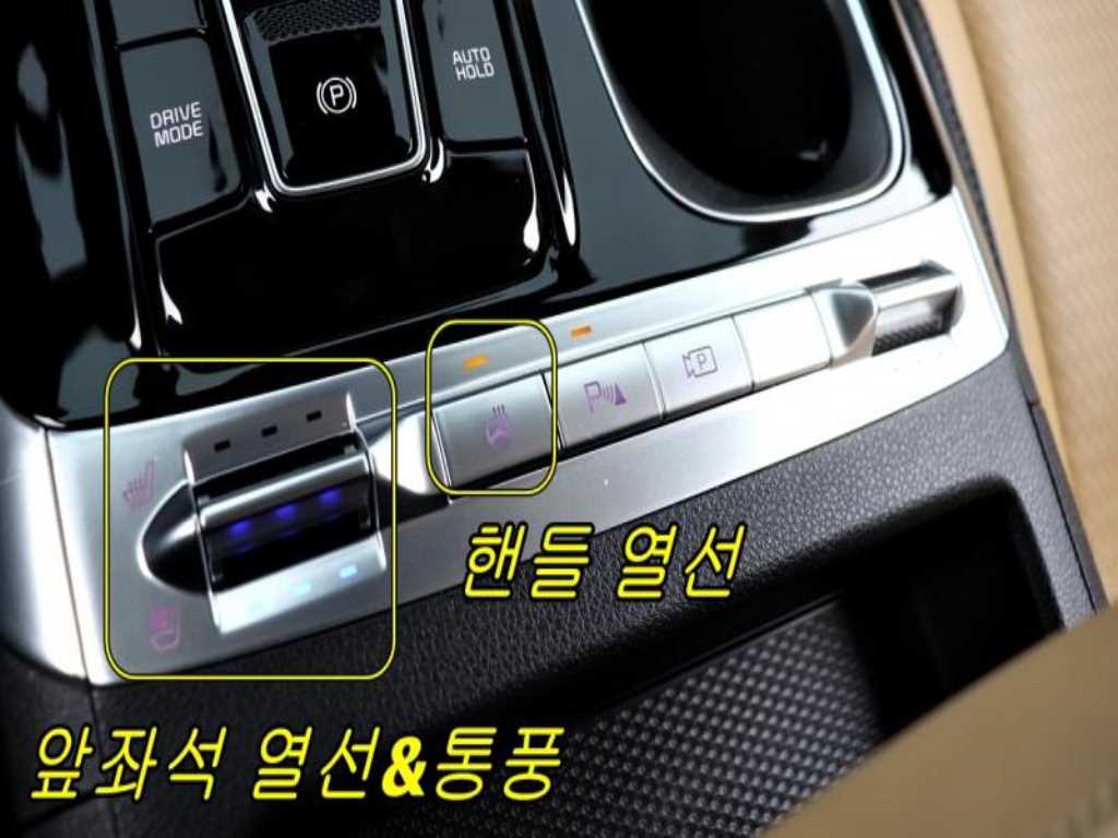 KIA Carnival - Vista 10