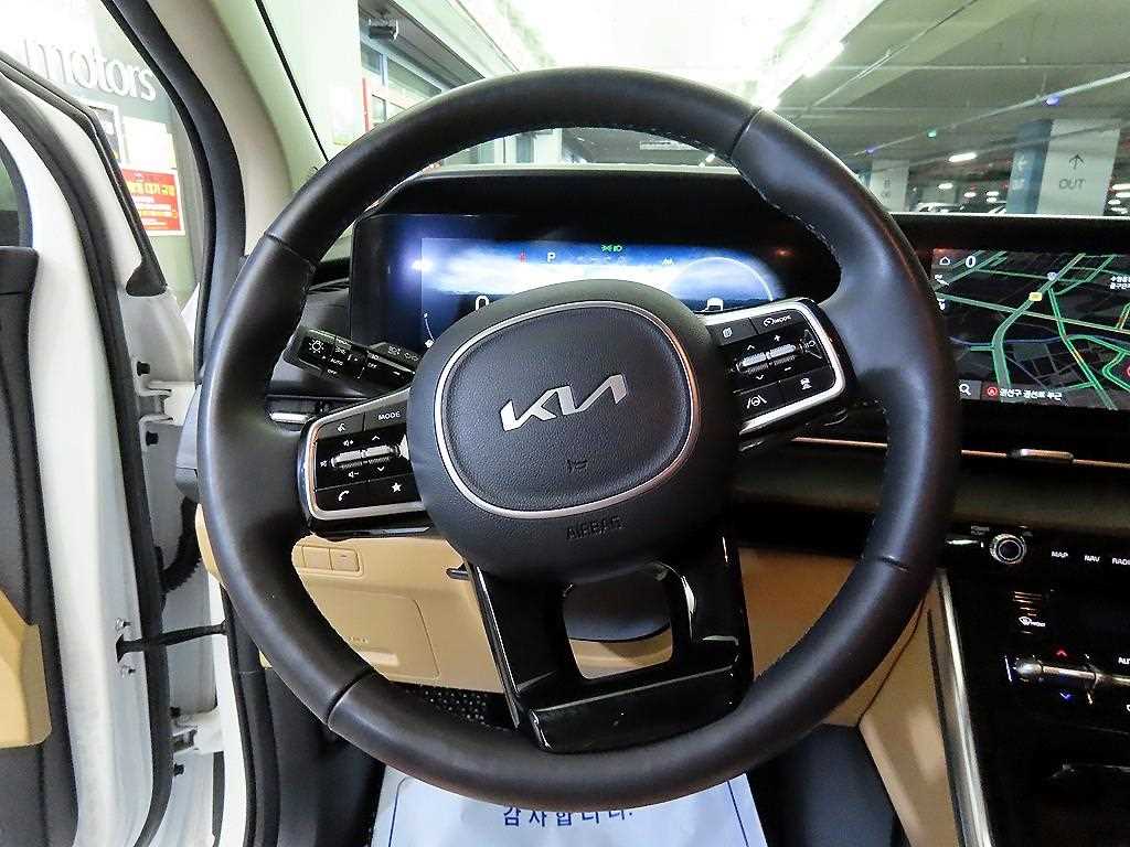KIA Carnival - Vista 8
