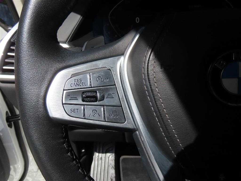 BMW X7 - Vista 11