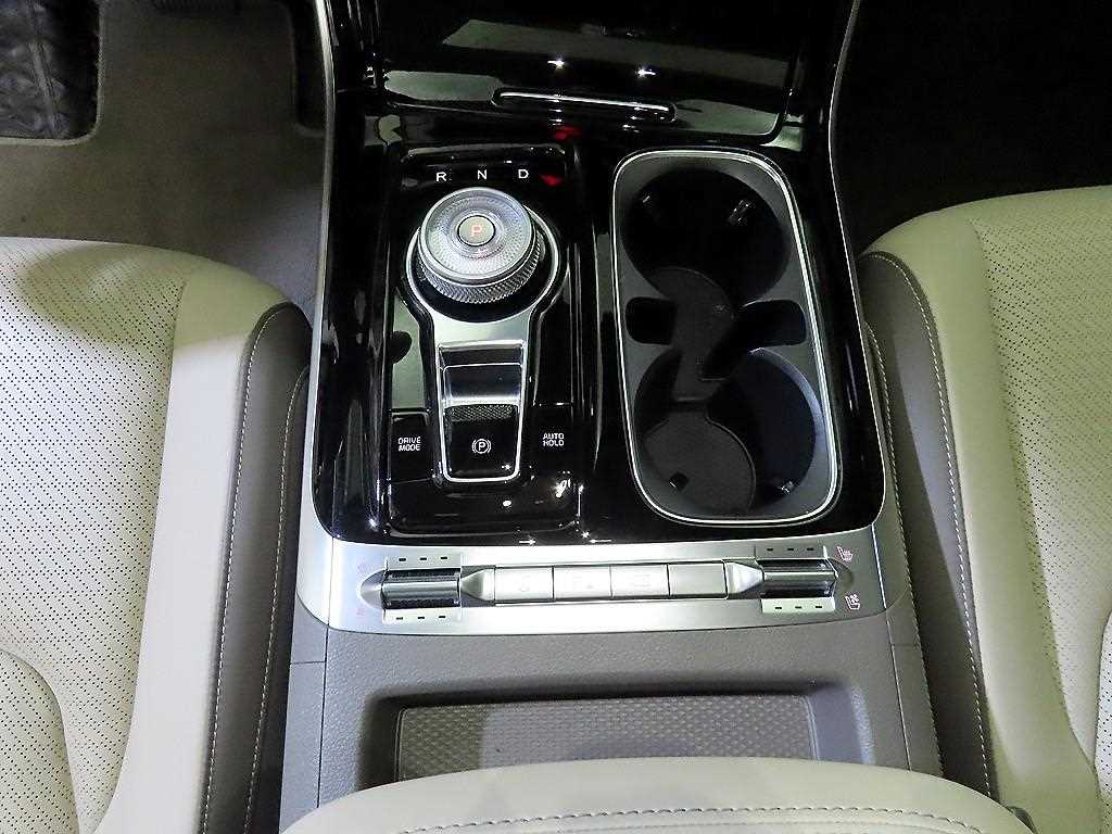 KIA Carnival - Vista 12