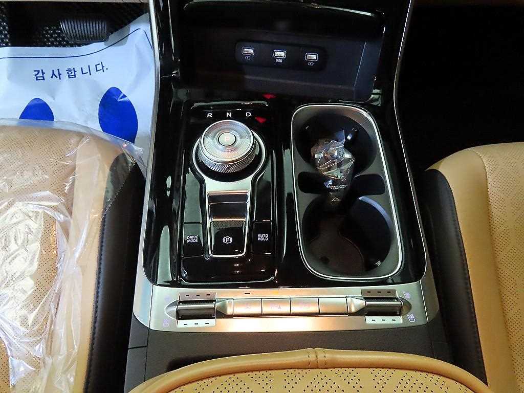 KIA Carnival - Vista 12