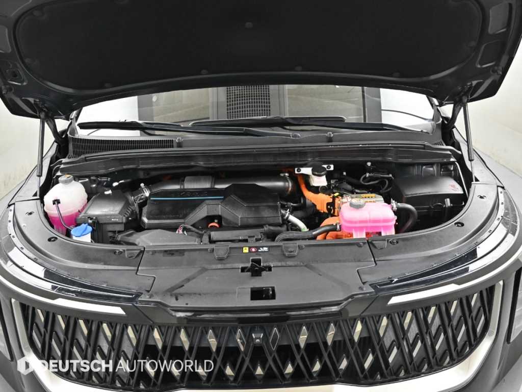 KIA Carnival - Vista 6