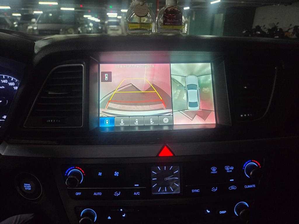 HYUNDAI Genesis - Vista 10