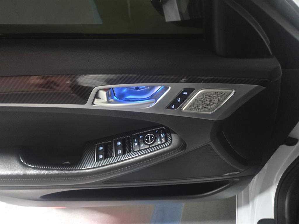 HYUNDAI Genesis - Vista 4