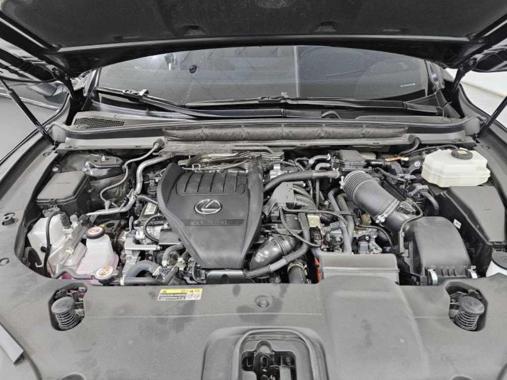 Lexus RX - Vista 7