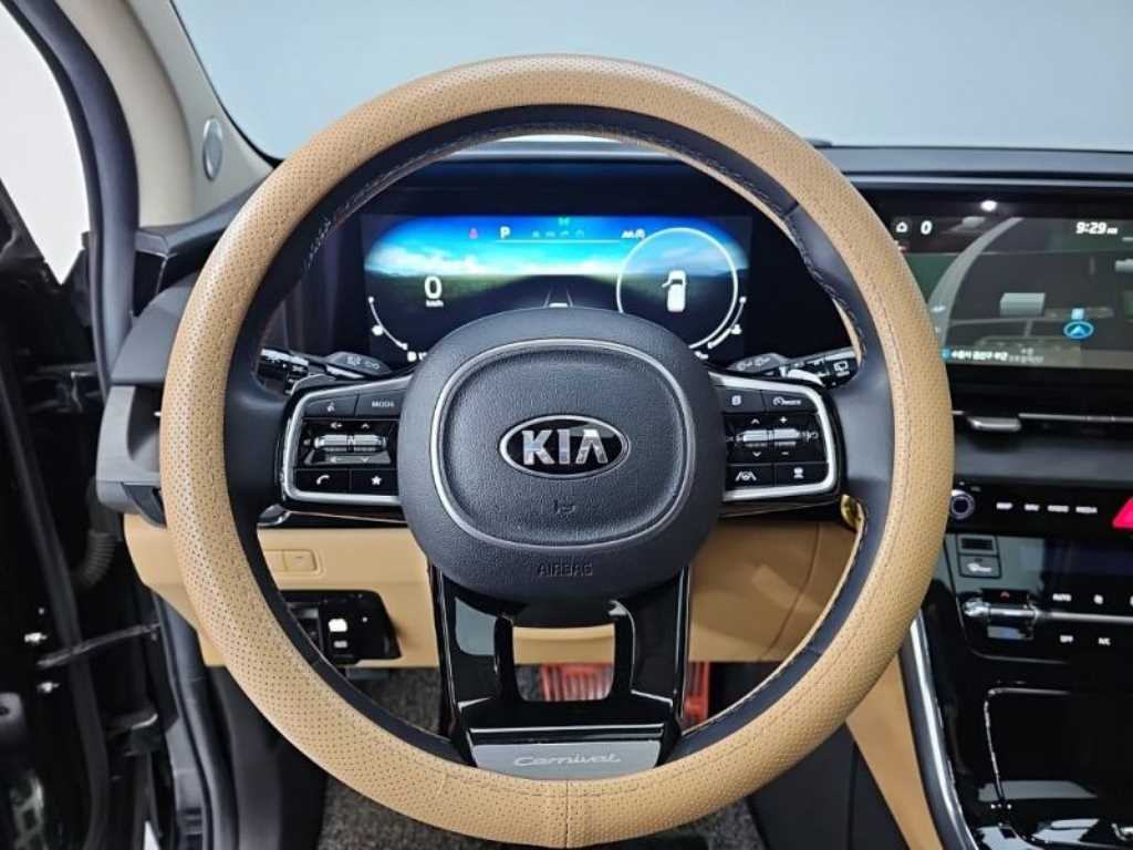 KIA Carnival - Vista 7