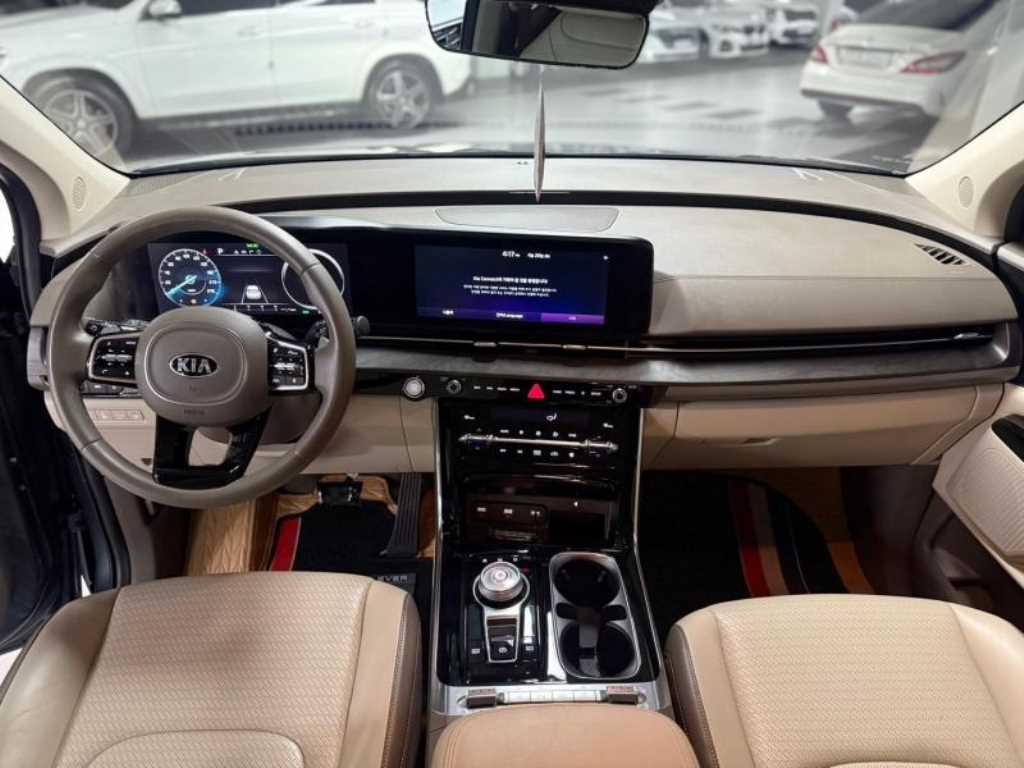 KIA Carnival - Vista 9