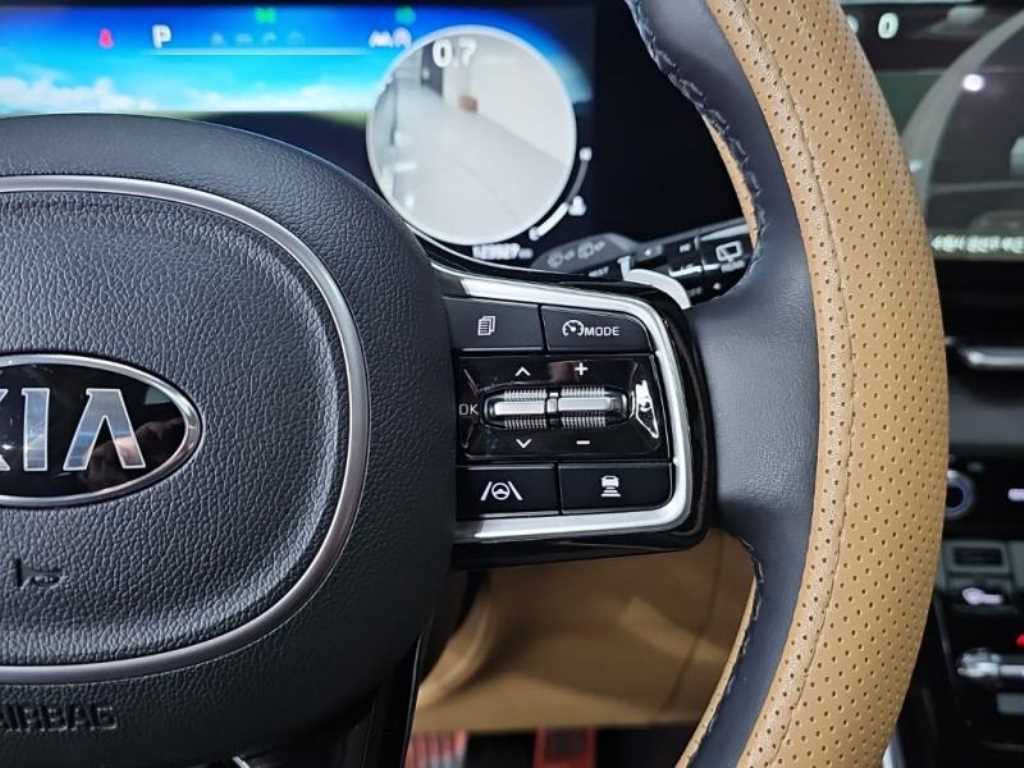 KIA Carnival - Vista 8