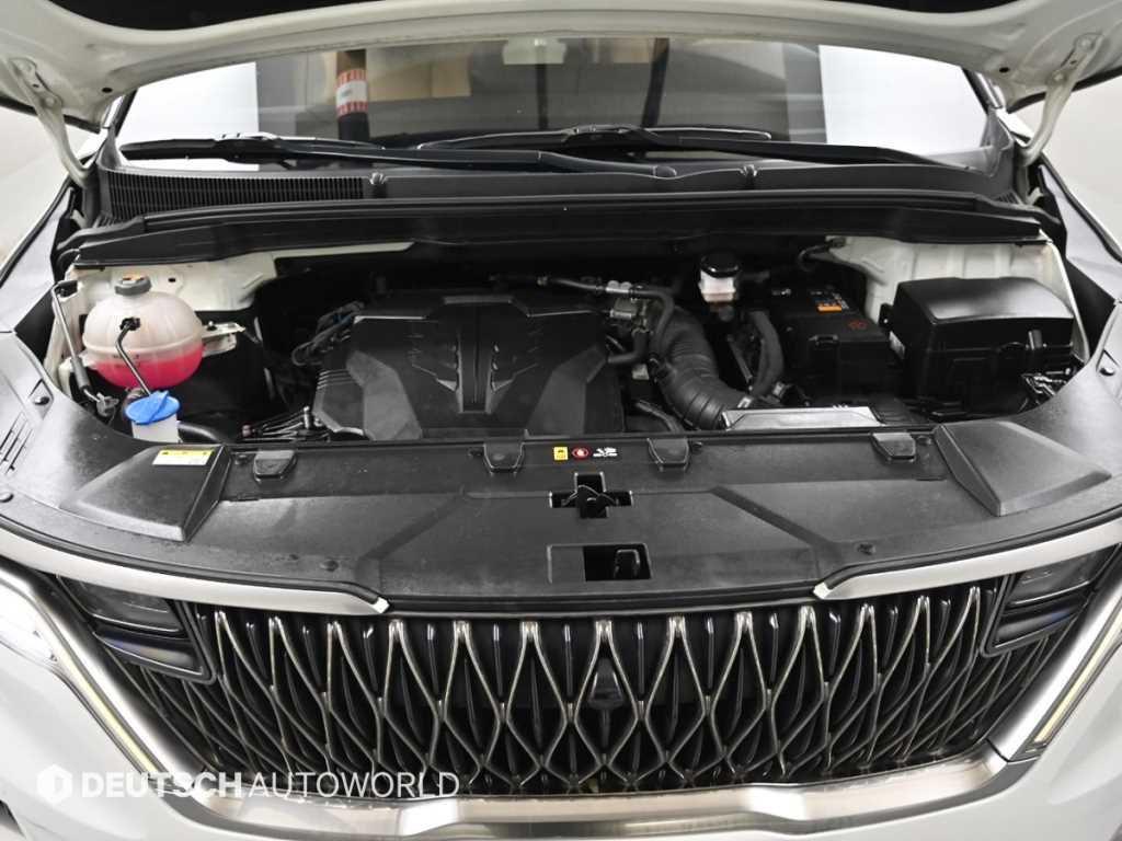 KIA Carnival - Vista 6