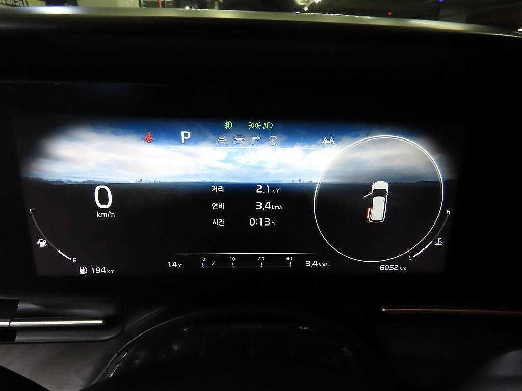 KIA Carnival - Vista 9