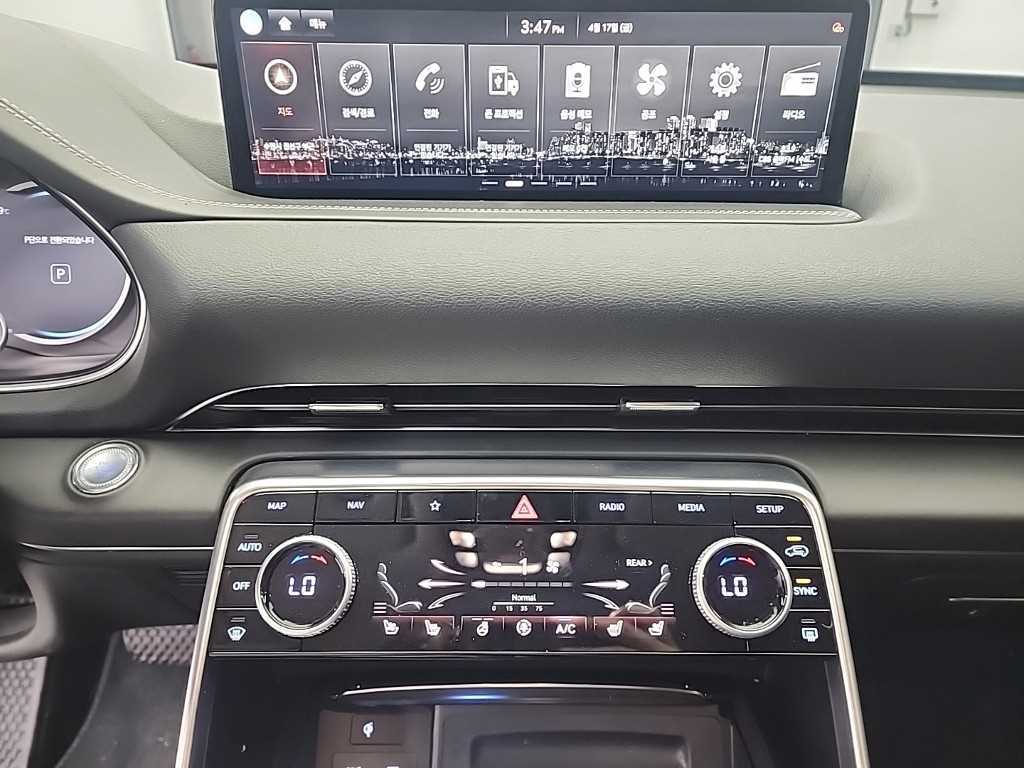 Genesis GV80 - Vista 10