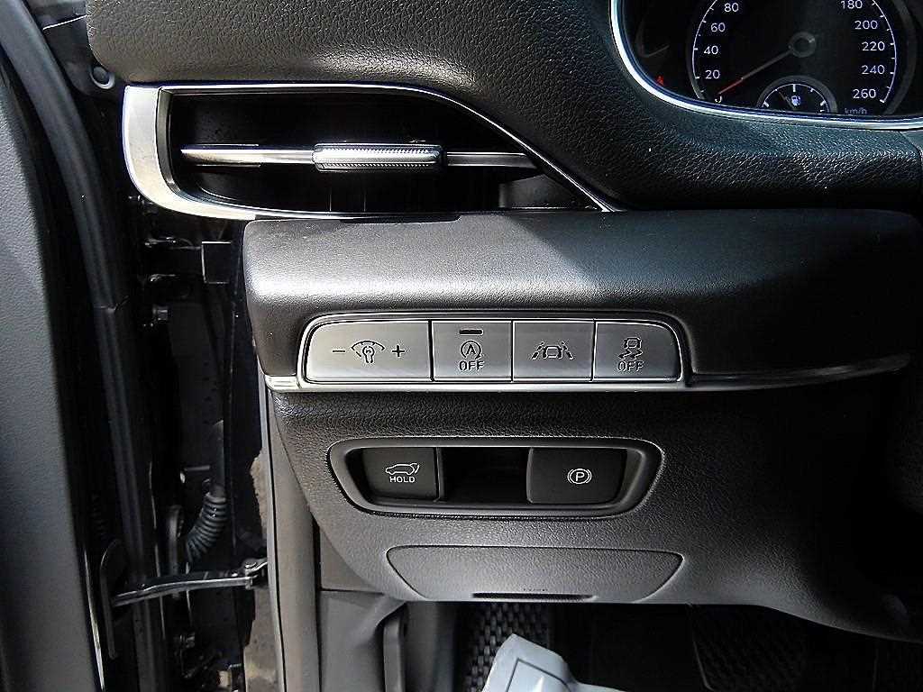 Genesis GV80 - Vista 12