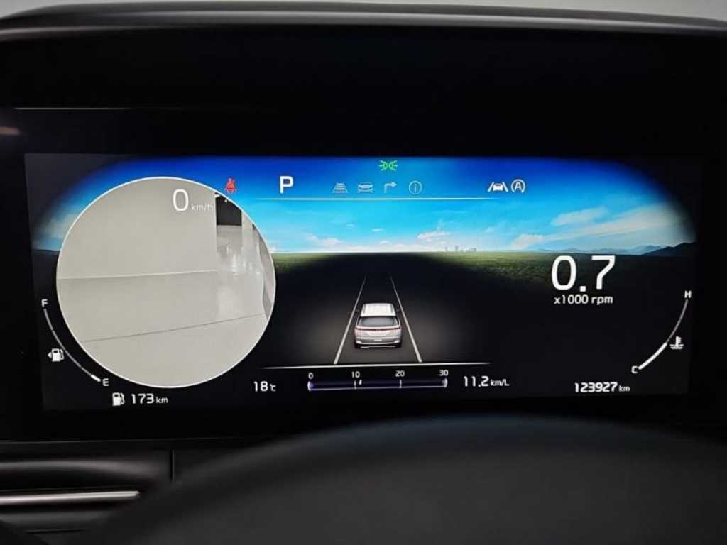 KIA Carnival - Vista 6