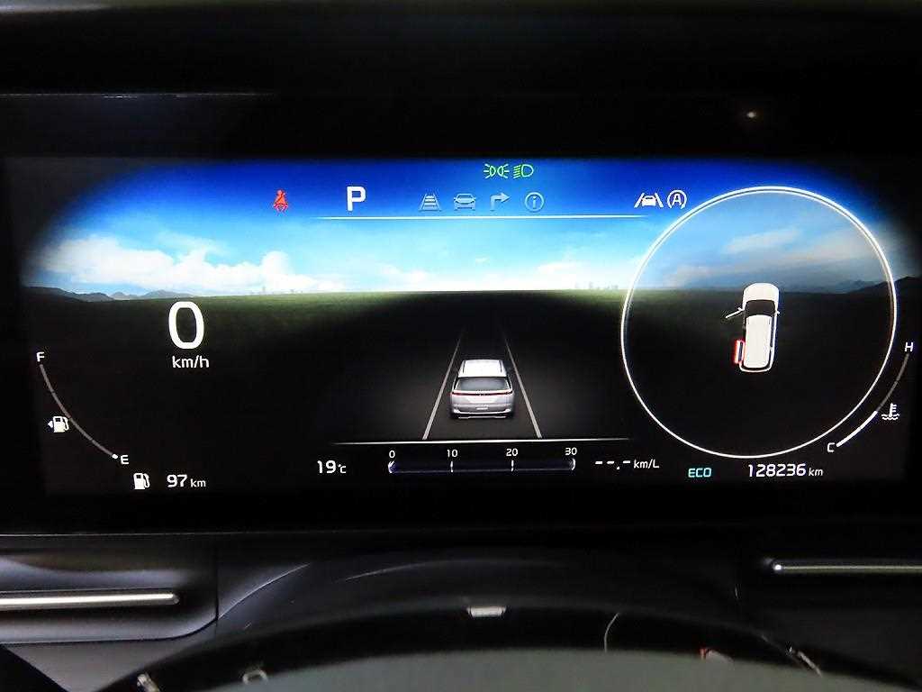 KIA Carnival - Vista 9