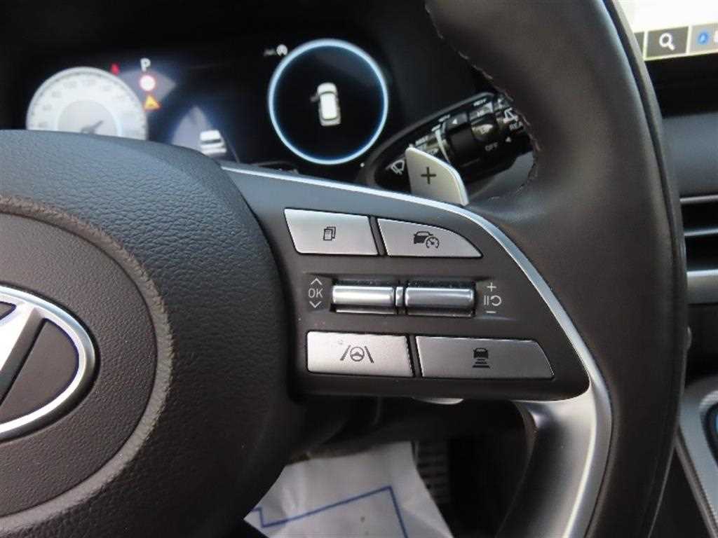 HYUNDAI Palisade - Vista 10
