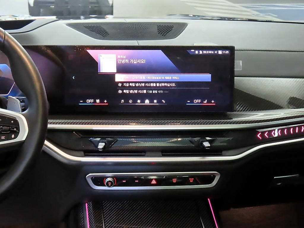 BMW X7 - Vista 11