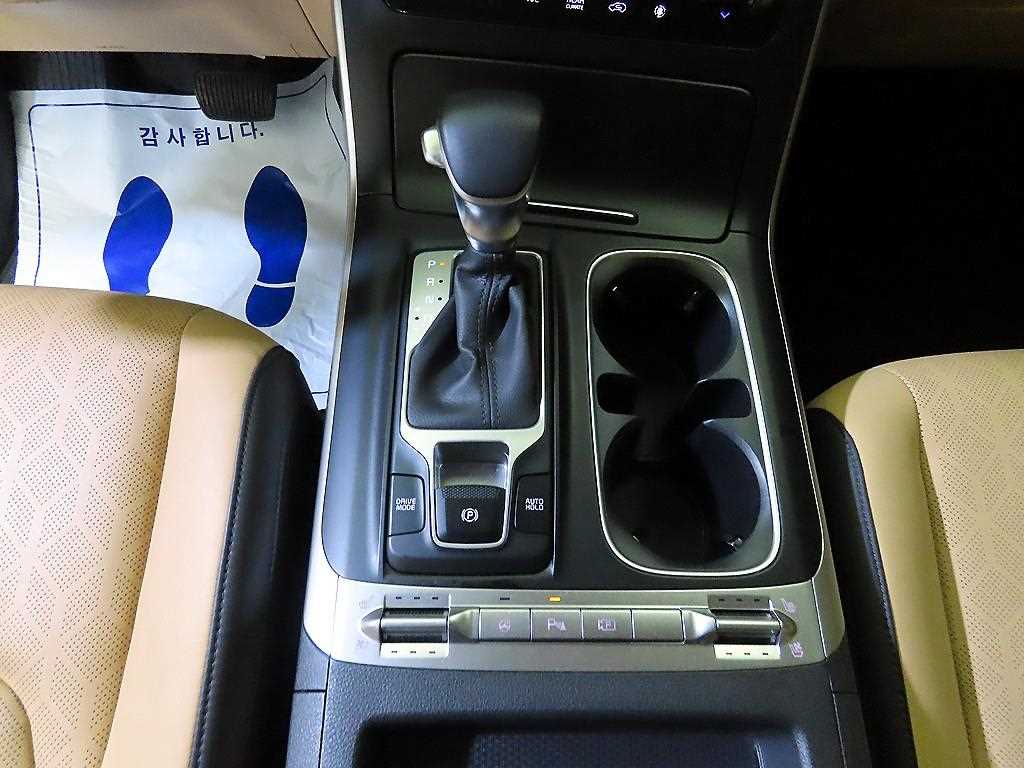 KIA Carnival - Vista 12