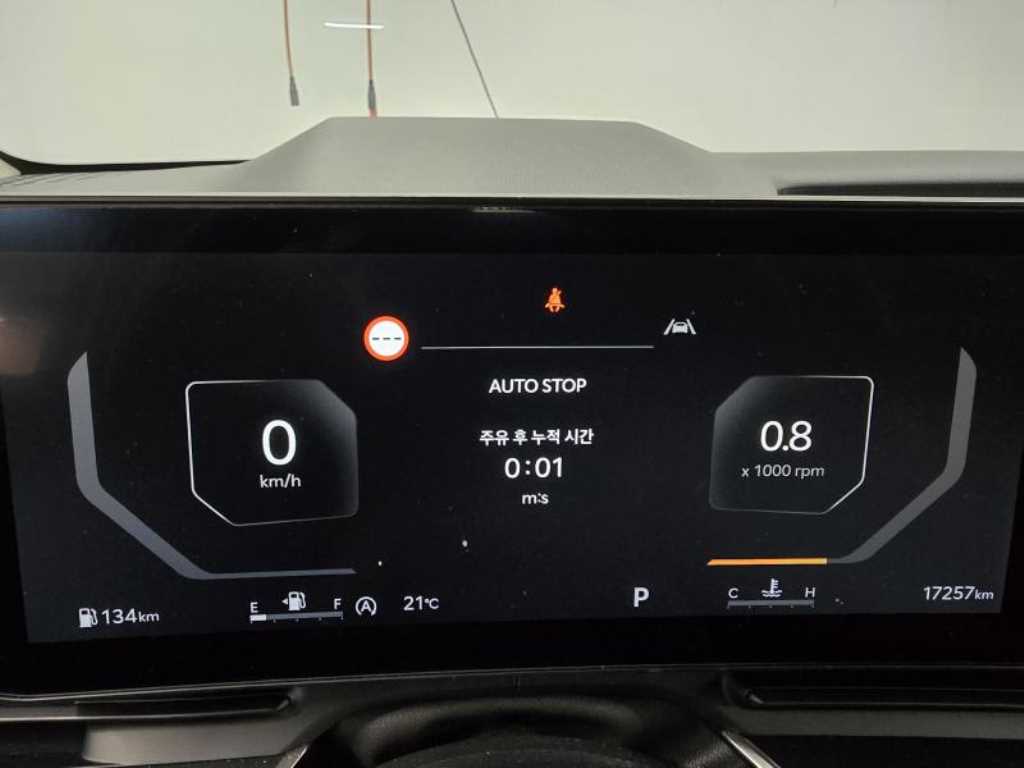 KIA Carnival - Vista 7