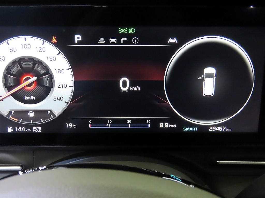 KIA Carnival - Vista 9