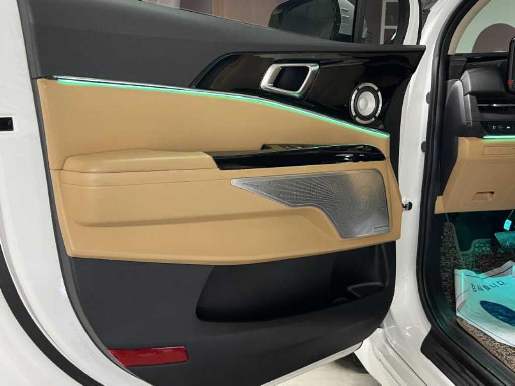 KIA Carnival - Vista 12