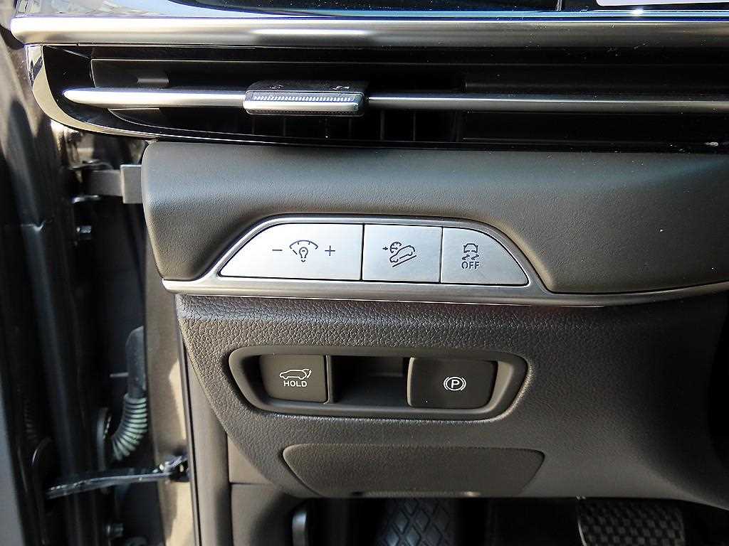 Genesis GV80 - Vista 12
