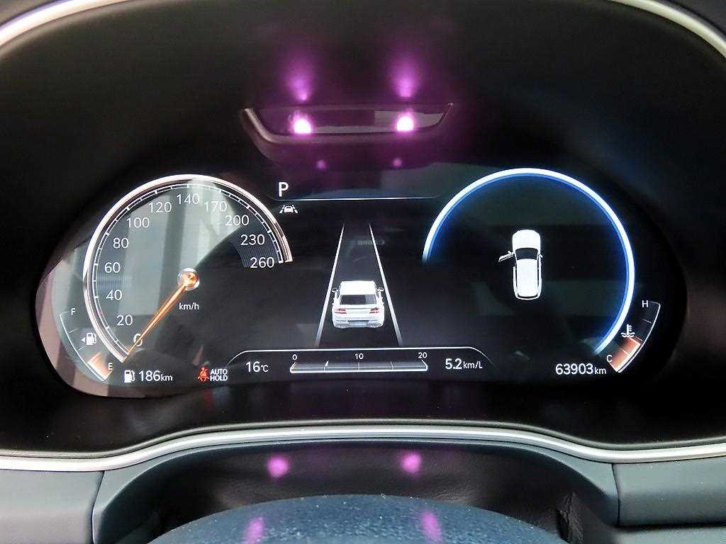 Genesis GV80 - Vista 9