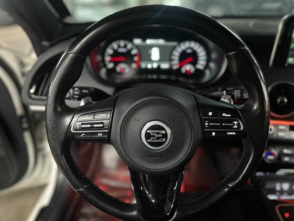 KIA Stinger - Vista 8