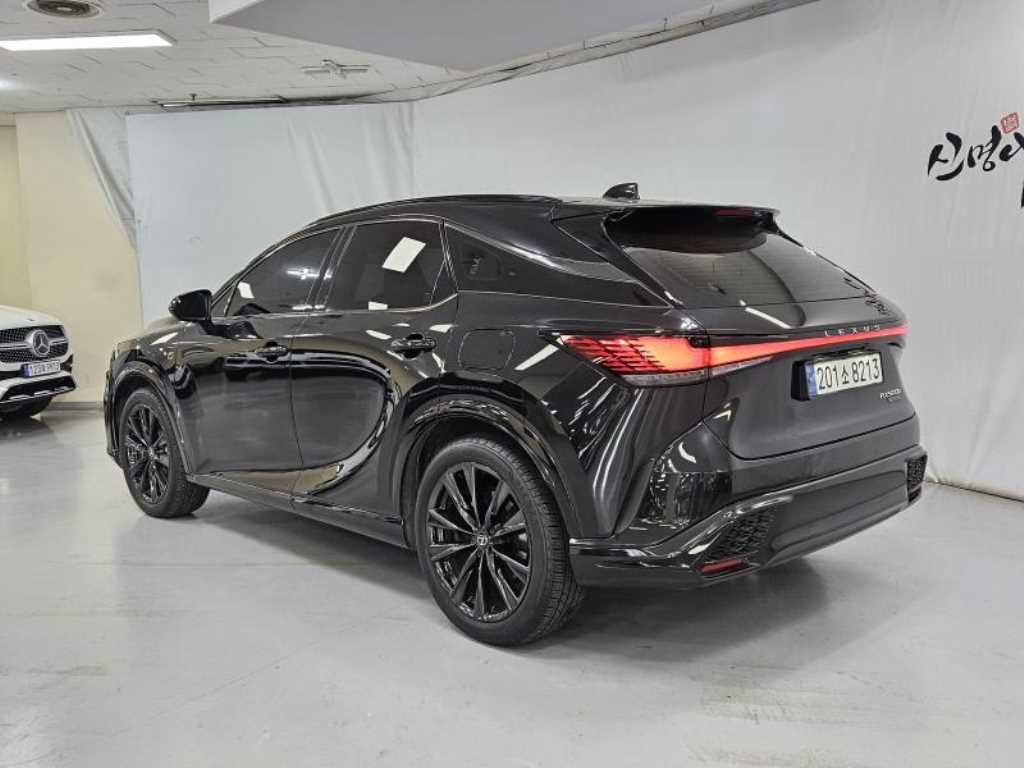 Lexus RX - Vista 6