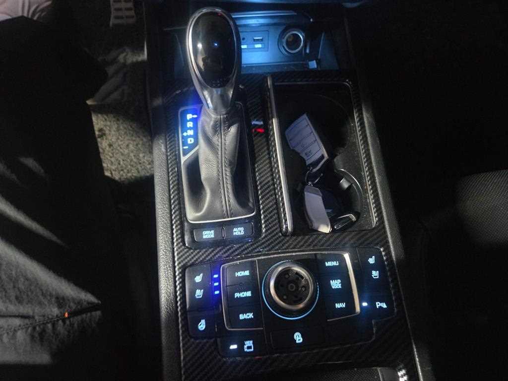HYUNDAI Genesis - Vista 8