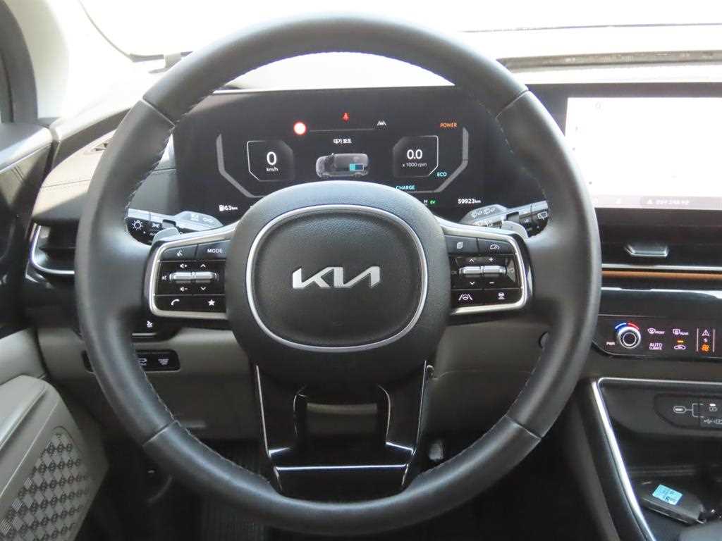 KIA Carnival - Vista 12