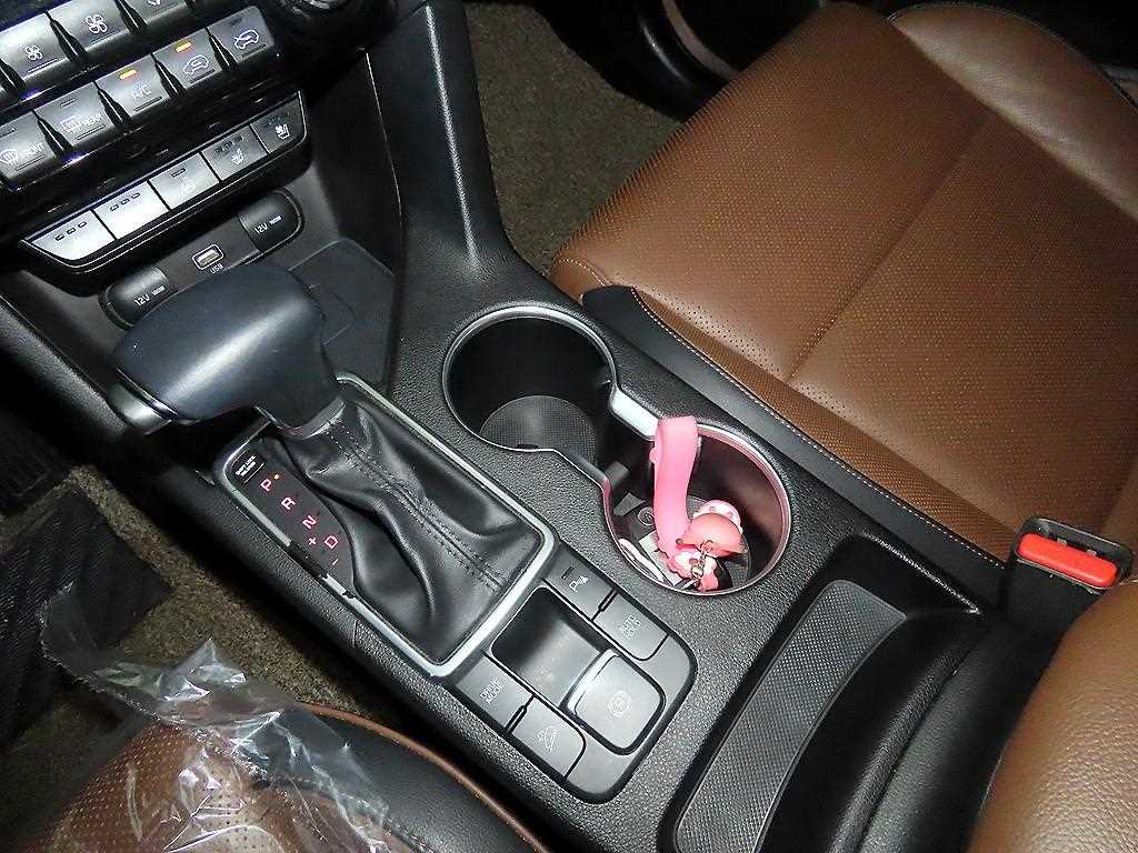 KIA Sportage - Vista 12