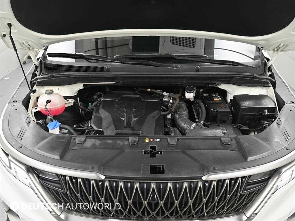 KIA Carnival - Vista 6