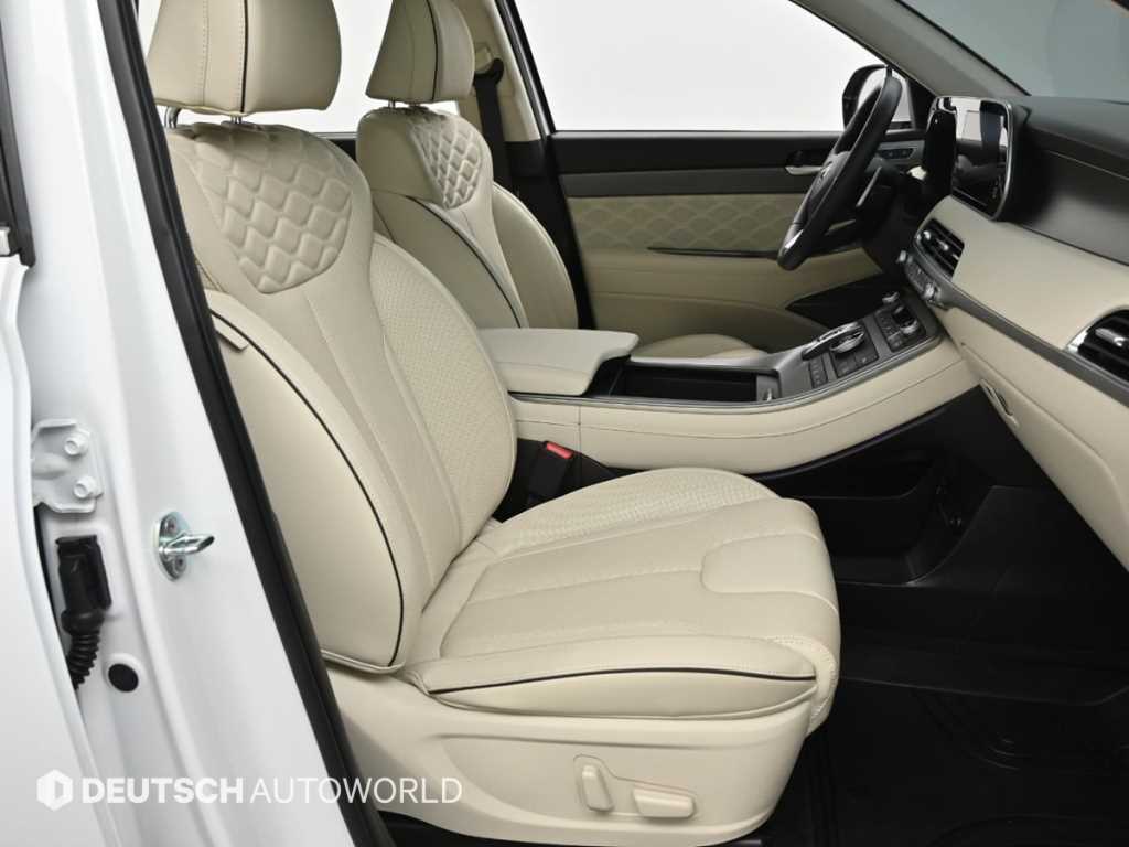 HYUNDAI Palisade - Vista 10