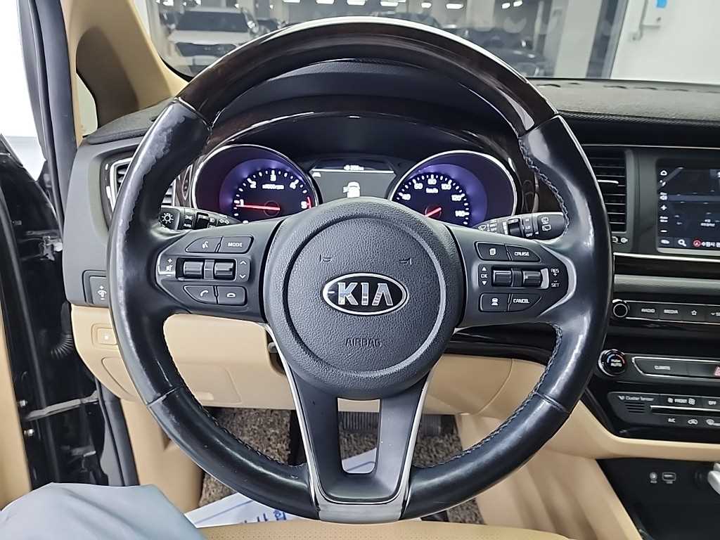 KIA Carnival - Vista 9