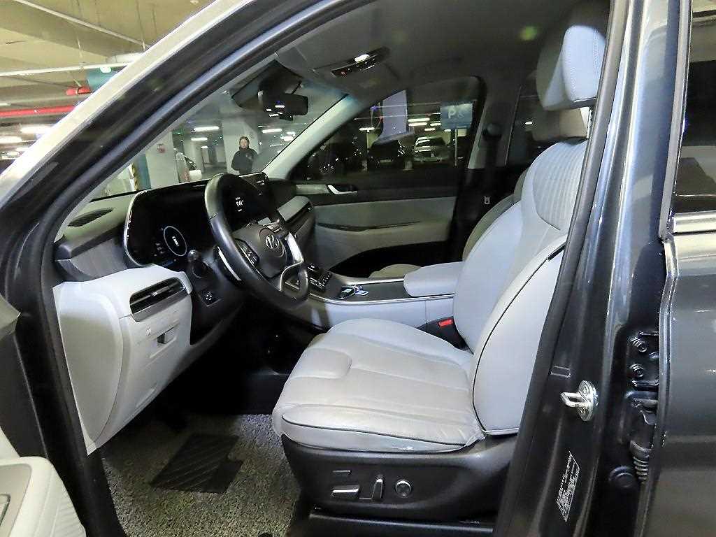 HYUNDAI Palisade - Vista 6