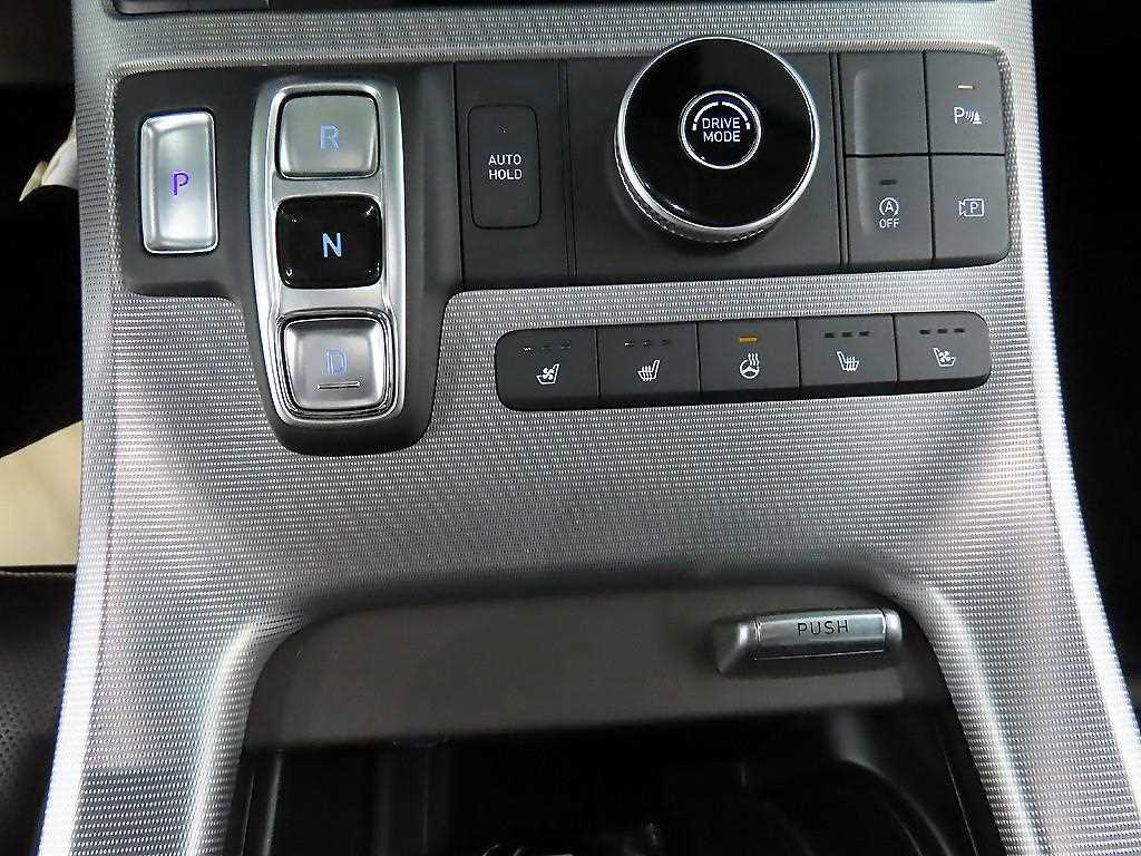 HYUNDAI Palisade - Vista 10