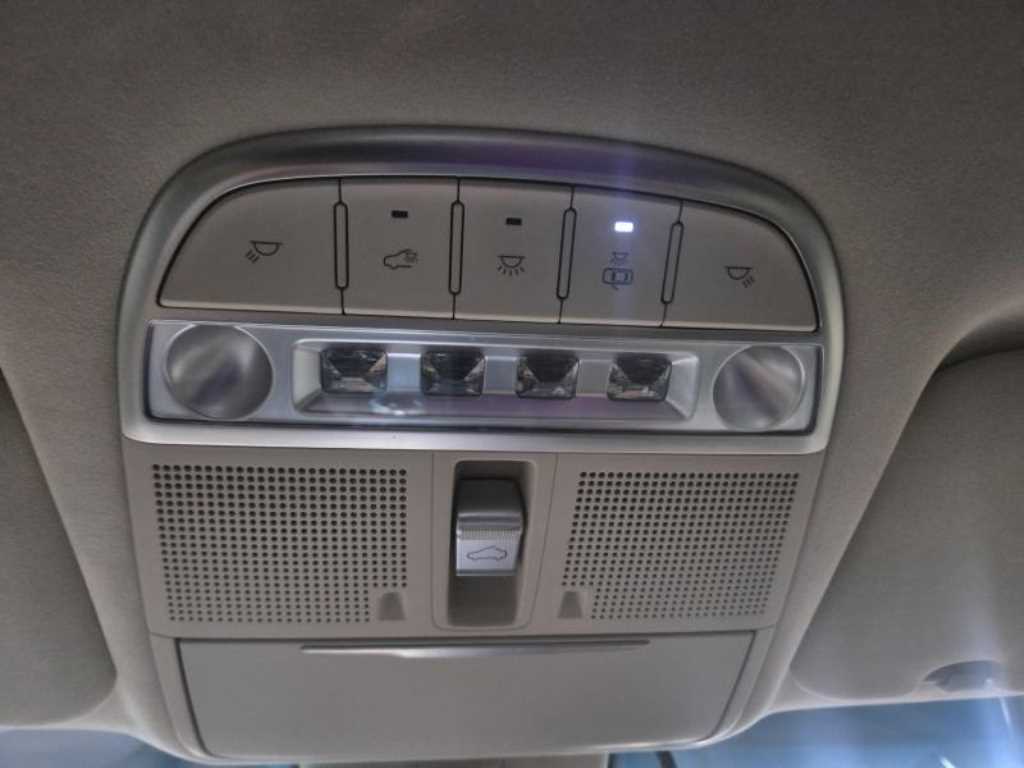 Genesis G90 - Vista 12