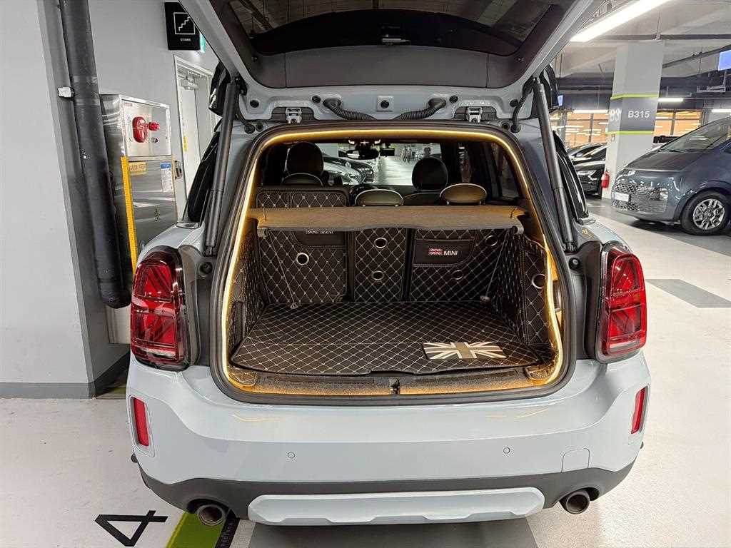 Mini Countryman - Vista 7