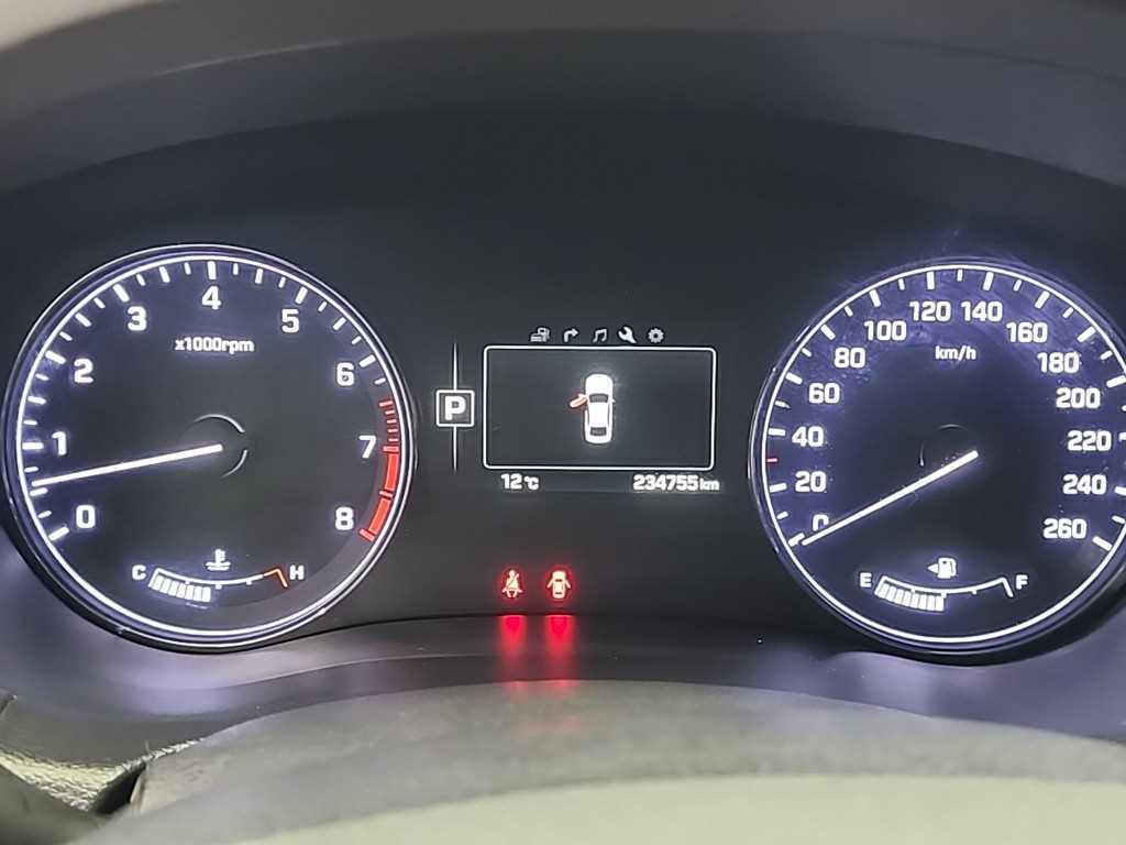 HYUNDAI Genesis - Vista 6