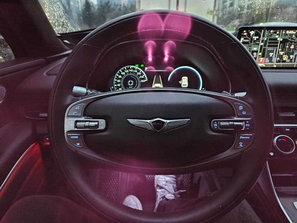 Genesis GV80 - Vista 11