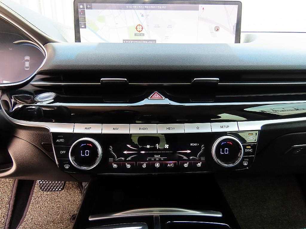 Genesis G80 - Vista 12