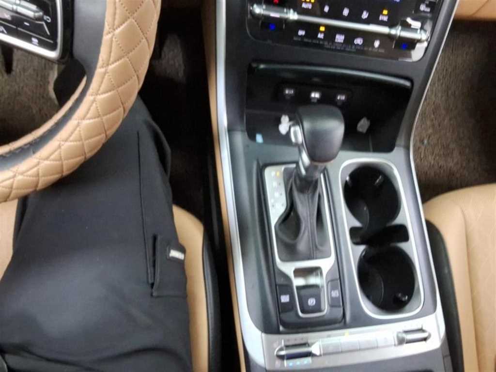 KIA Carnival - Vista 8