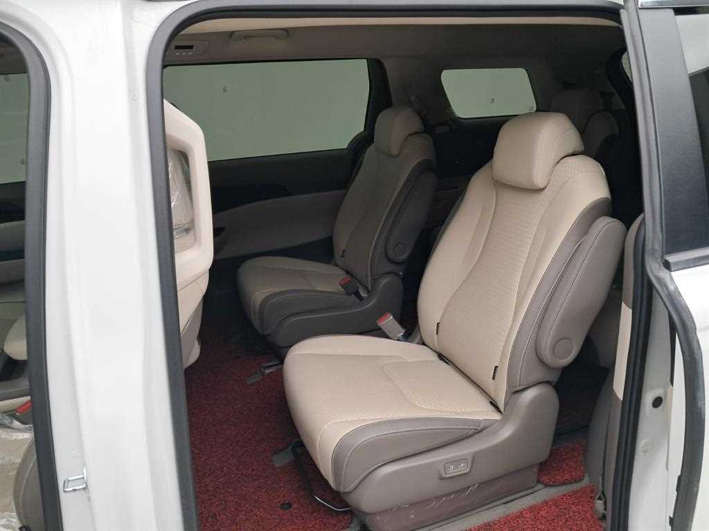 KIA Carnival - Vista 12